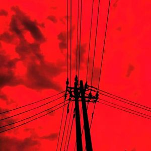 青青青在线视频免费观看视频
