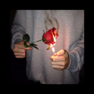 青青青在线视频免费观看视频
